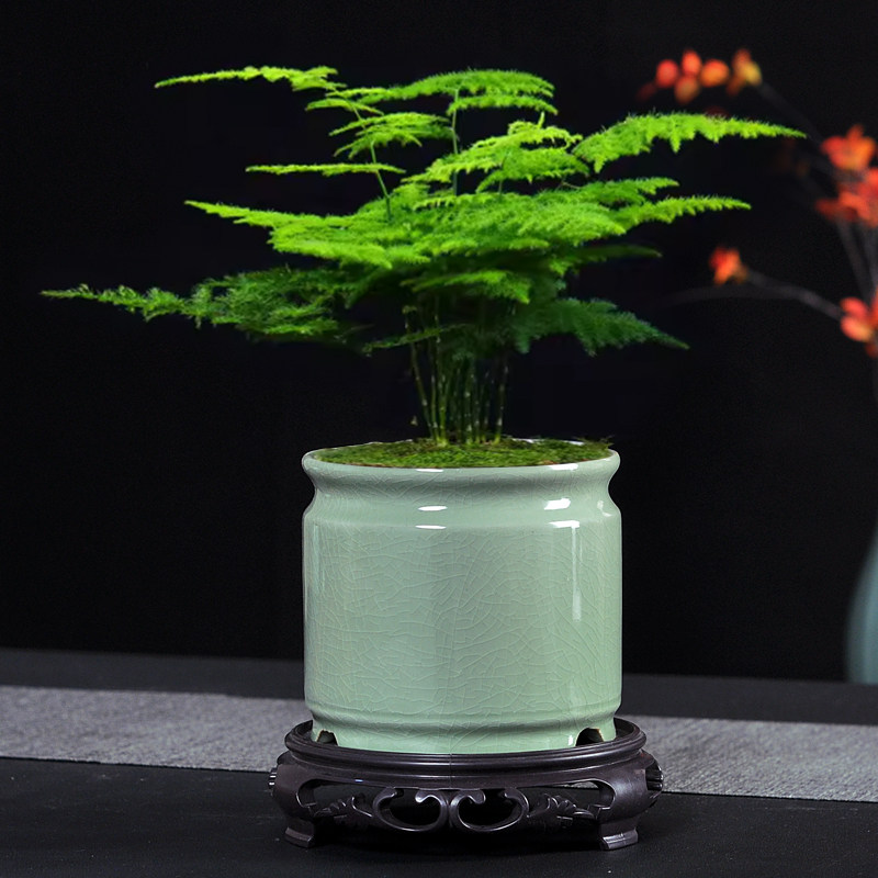 哥窑多肉花盆带托盘特价简约绿植文竹菩提小叶九里香小榕树微景观,鲜花速递/花卉仿真/绿植园艺,花盆,淘宝优惠券,粉丝福利购,淘宝优惠卷