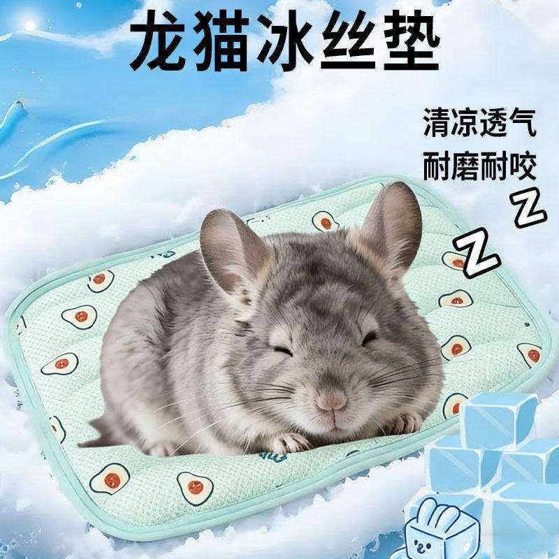 龙猫冰垫专用夏季冰降温板冰窝冰丝散热迷你垫板冰盒冰板冰凉夏日