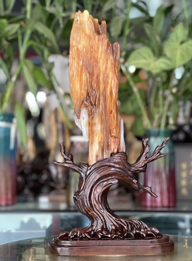 树化玉硅化木摆件冰种木化石400119客厅木化玉缅甸树化石客厅奇石