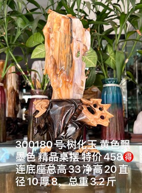 树化玉硅化木摆件冰种木化石300180客厅木化玉缅甸树化石客厅奇石