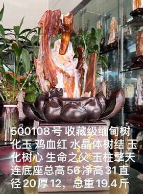 树化玉硅化木摆件冰种木化石500108客厅木化玉缅甸树化石客厅奇石