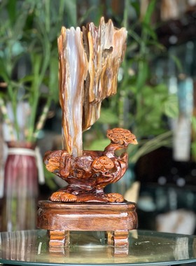 树化玉硅化木摆件冰种木化石400132客厅木化玉缅甸树化石客厅奇石