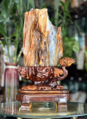 树化玉硅化木摆件冰种木化石400131客厅木化玉缅甸树化石客厅奇石