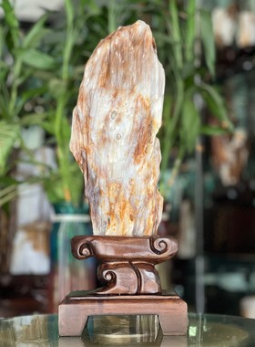 树化玉硅化木摆件冰种木化石400123客厅木化玉缅甸树化石客厅奇石