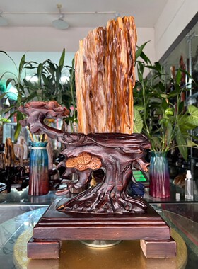 树化玉硅化木摆件冰种木化石400122客厅木化玉缅甸树化石客厅奇石