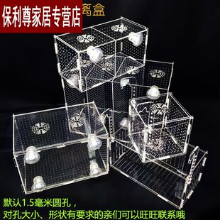 迷你鹦鹉鱼苗隔离盒繁殖箱亚克力挂钩水族产卵产房外置大号小鱼