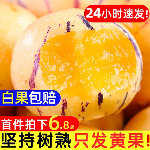 白果赔！云南人参果水果黄肉大果