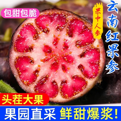 现货！爆浆红果参云南罕见水果鲜