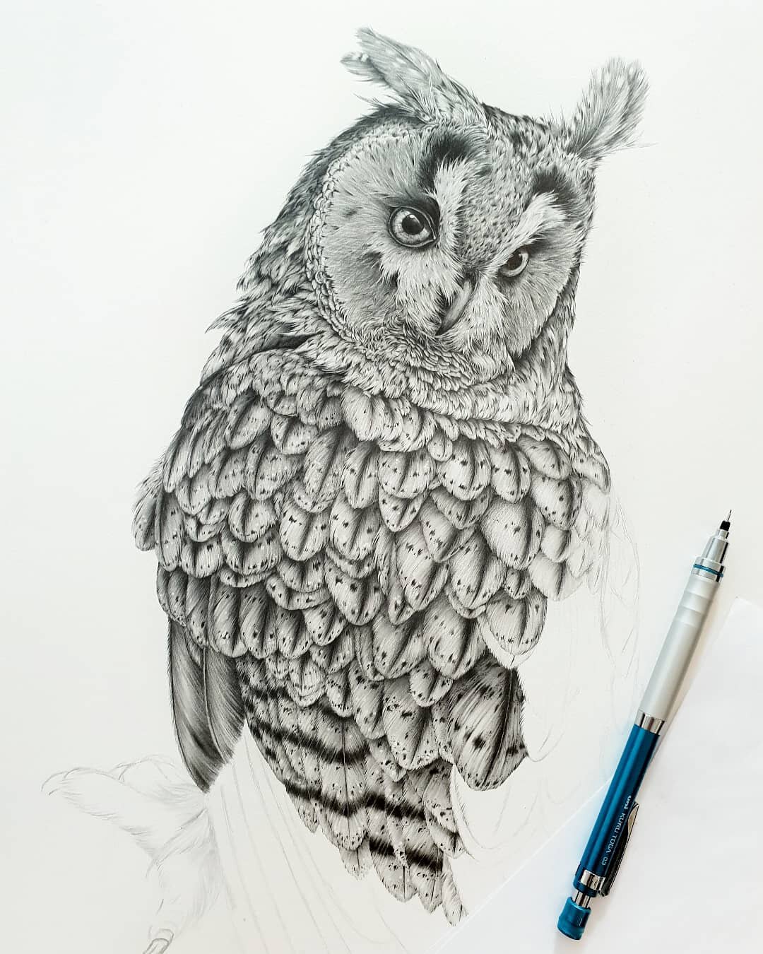 b442小动物猫头鹰鸟类老鹰黑白素描速写插画钢笔画临摹素材图片