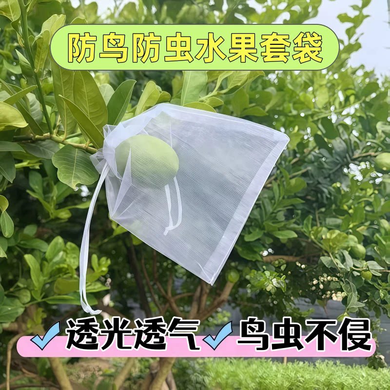 水果套袋防虫防鸟专用网袋葡萄无花果瓜果蔬菜石榴橙子保护网套袋
