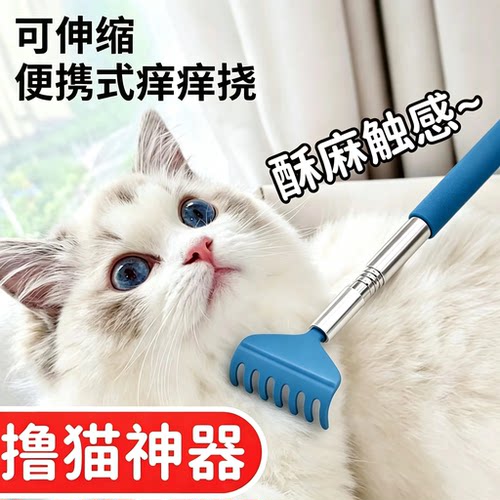 逗猫玩具猫咪按摩互动解闷痒痒挠
