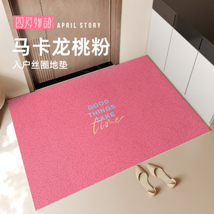 入户桃粉丝圈地垫耐脏免洗好打理进门蹭土垫除尘防滑耐磨玄关脚垫