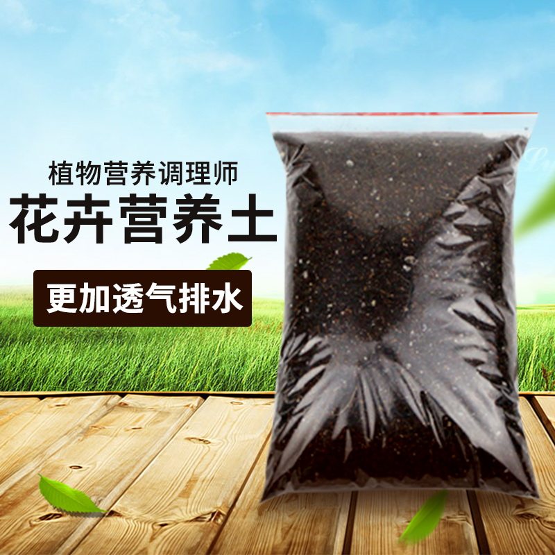 花卉盆栽多肉蛭石透气珍珠岩