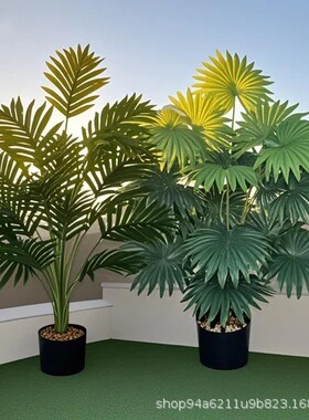 树扇葵棕榈叶绿植盆栽假植物装饰室内仿真植物摆件散尾葵散尾葵