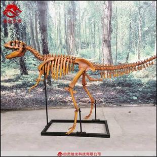 麋鹿羚羊马三趾马动物骨头标本仿真生物树脂骨架复原模型定做