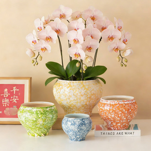 创意彩绘蝴蝶兰花盆陶瓷轻奢高级感绿植兰花大肚大号花盆摆件装饰