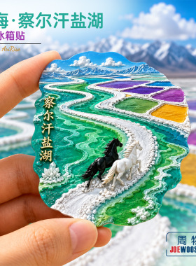 青海察尔汗盐湖黑白骏马盐田冰箱