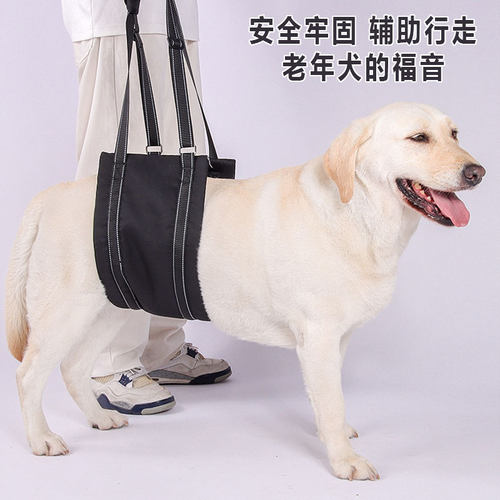 大型犬后腿辅助行走背带安全牢固