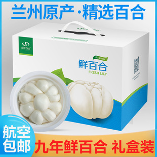 航空包邮兰州鲜甜百合净片碗装九年生食用新鲜百合大碗礼盒装山珍