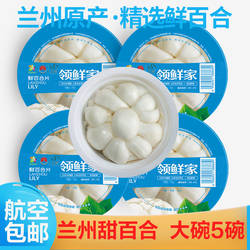 航空甘肃特产兰州百合新挖新鲜百合新鲜食用生甜百合非百合干