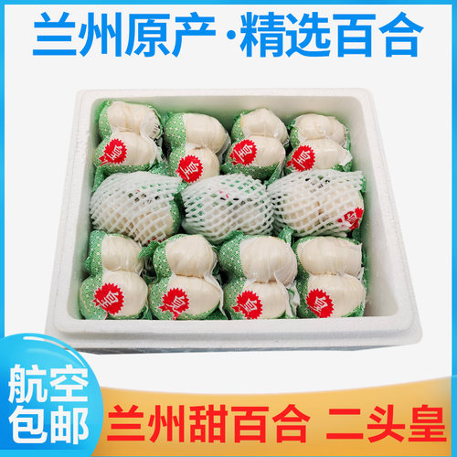 航空甘肃金德新鲜百合兰州
