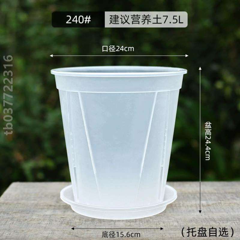 花盆树脂蝴蝶兰透明盆专用家用兰花杯号透气大青山控根盆种植塑料