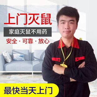 苏州无锡昆山常熟专业上门灭鼠灭跳蚤灭蟑螂灭白蚁除虫服务公司