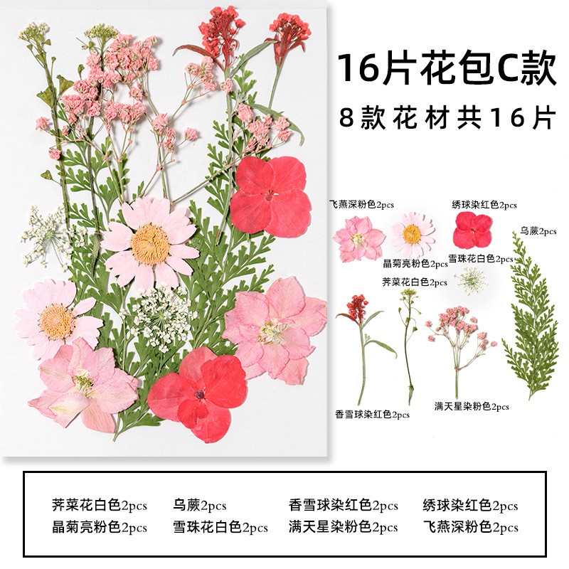 干花包真花滴胶手机壳手工团扇贺卡书签押花材料玫瑰花树叶大ax11