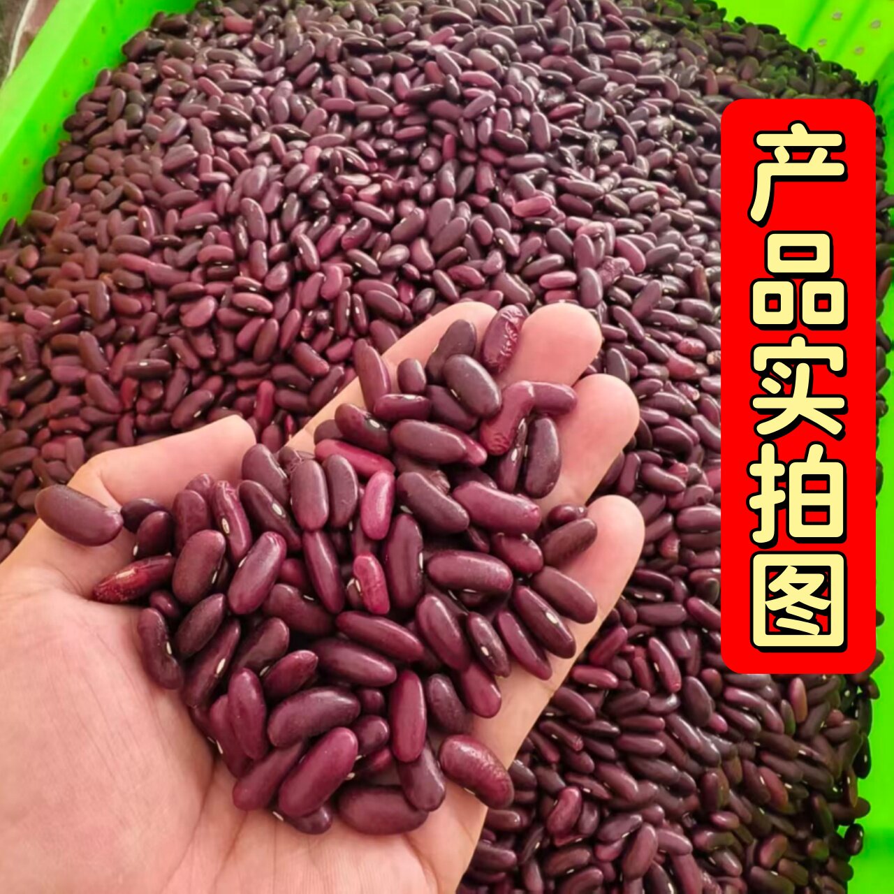 新红豆红芸豆大红豆红腰豆正宗新货红小豆农家自产红豆杂粮5斤