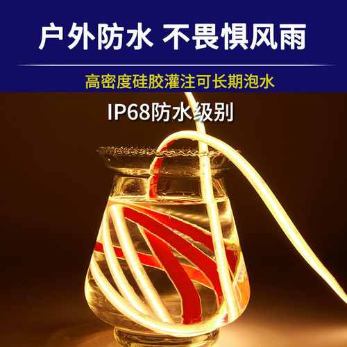 24V户外防水低压COB灯带亮化灯条