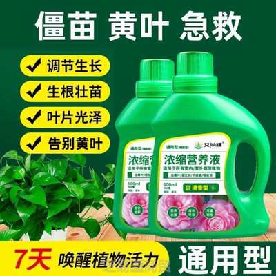 绿植种植盆景草幸福树培养促生种菜鲜切花铜钱盆栽室内家用花肥