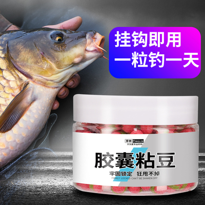 亭林胶囊粘豆沾麻团颗粒鱼饵鲤鱼秒粘皮筋颗粒回锅鱼滑口鱼饵料