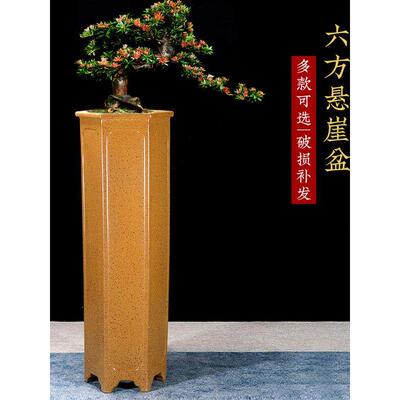 宜兴紫砂花盆高四方签筒精品陶瓷客厅摆件桌面绿植悬崖桩花盆