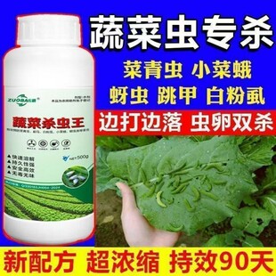 蔬菜地下害虫高效杀蛴螬地老虎菜青虫蚜虫红蜘蛛助剂