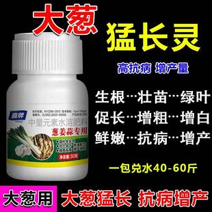 大蒜追肥宝大蒜补充营养块大均匀提高产量促进吸收