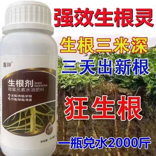 植物根系发育宝生根壮苗剂促进毛细根生长植株健壮