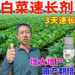 白菜专用黄叶专用黄叶干尖灰霉霜霉疫锈叶枯专用