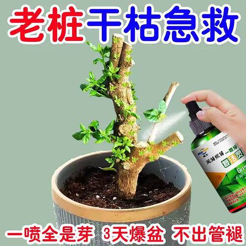 【新芽猛长】老桩催芽剂促芽僵苗快速发新芽防黄叶促花营养复活肥