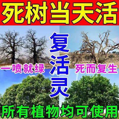 花草大树移栽烂根死苗复活灵