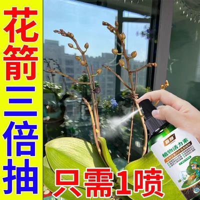 植物快速见效增肥活力素家用有机生长素家庭园艺