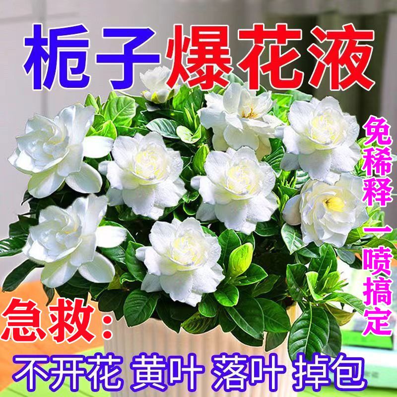 专用】绿萝活力素专用肥料家用植物盆栽防黄叶落叶增肥增绿通用型