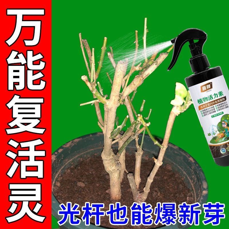 植物转运专用营养液水培土培通用猛生根一喷绿促花苗