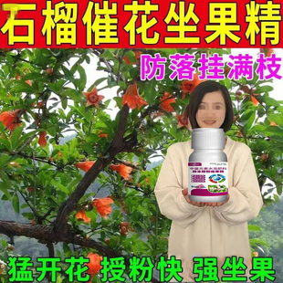 花果防护保果肥保花保果防落防裂为作物丰产丰收保驾护航