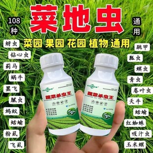 蔬菜地下害虫速杀蛴螬地老虎菜青虫蚜虫红蜘蛛杀虫溶解剂