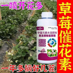 李子坐果药授粉李子树保花保果的药果树授粉坐果灵喷花授粉药催花