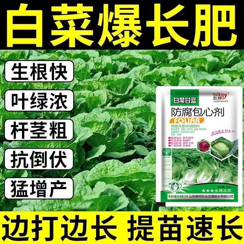 白菜防腐防烂药大白菜包心剂烂根软腐专用