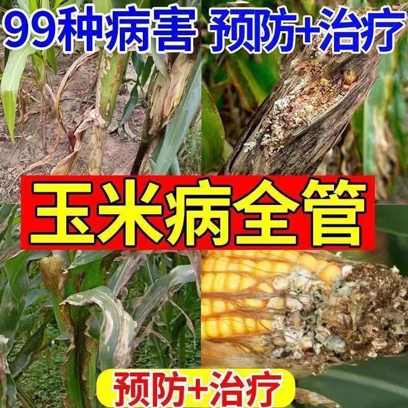 玉米专用药玉米病药玉米全治叶斑病锈病纹枯病玉米杀菌剂通用