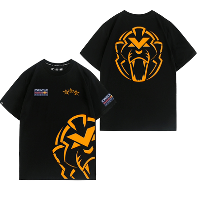 马克斯维斯塔潘MaxVerstappen