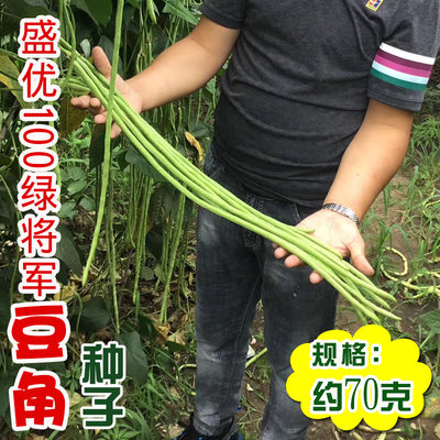 100豆角绿盛优将军种子 农田菜园淡绿嫩脆生长快纤维少豆角蔬菜籽