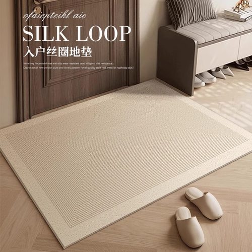 轻奢高级感入户门地垫进门耐脏丝圈门外脚垫家用免洗可擦门垫垫子